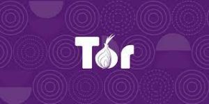 Tor Browser Crack
